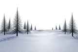 White snowy landscape with dead trees