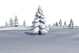 White snowy landscape with fir trees