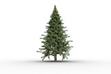 Digitally generated green fir tree