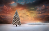 Fir tree in snowy landscape