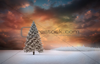 Fir tree in snowy landscape