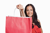 Woman standing with shopping bag