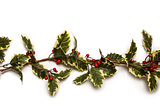 Christmas holly with red berrys