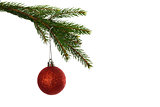 Red christmas bauble hanging from branch