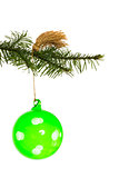 Green christmas decoration hanging from branch