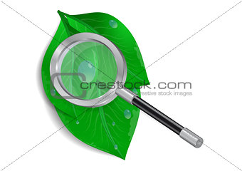 Magnifying glass with green leaves and waterdrops