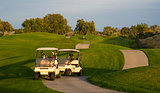 Pair of Golf Carts