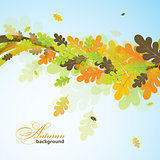 Oak autumn background, vector