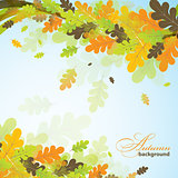 Oak autumn background, vector 
