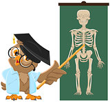 Owl teacher. Anatomy Lesson, the study of the human skeleton