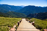 wood stairs in the hehuanshan forest Recreation area 