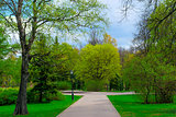 blank green spring park in Novgorod