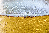 glass of cold beer