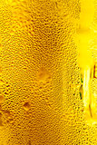 glass of cold beer