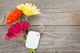 Three colorful gerbera flowers with tag