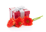 Orange gerbera flowers and red gift box