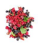 Fresh ripe berries