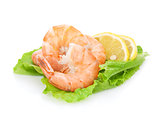 Cooked shrimps with lemon over salad leaves