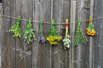 medical herbs flowers bunch collection on old wooden wall