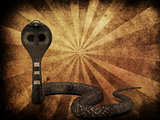 Cobra snake on grunge background