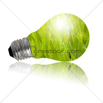 Eco Lamp
