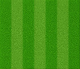 Football grass texture