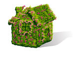 Green house with flowers