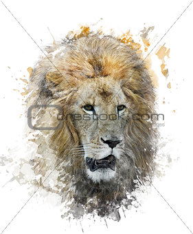 Watercolor Image Of Lion Head