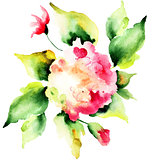Beautiful Hydrangea flowers