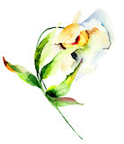 Decorative white flower