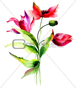 Tulips and Poppy flowers 