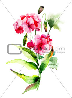 Geranium and Poppy flowers