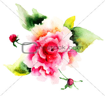 Beautiful Roses flowers