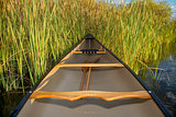 canoe and cattails
