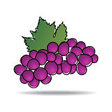 Freehand drawing grape icon