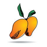 Freehand drawing mango icon