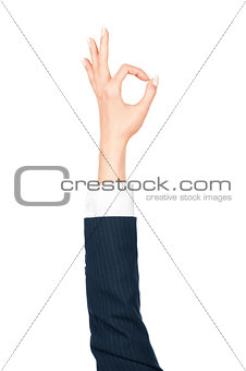 female hand on the isolated background