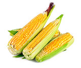 Fresh corn with green leaf