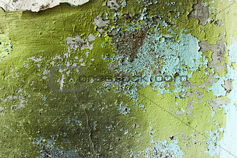 green grunge home background
