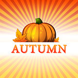 autumn illustration with pumpkin and fall leaves and rays
