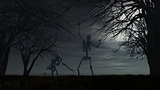 Halloween background with skeletons