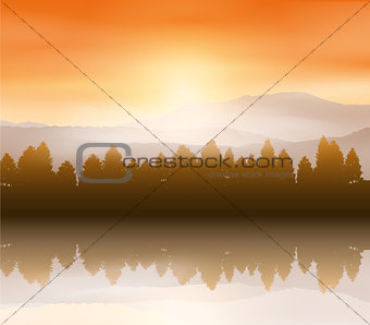 Forest landscape background