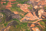 Aerial view of rural area / green fields and olive plantations /