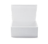 Open Styrofoam Box 