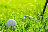 golf club and ball in the field