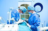 Dental implantation procedure