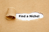 Find a Niche Torn Paper Concept