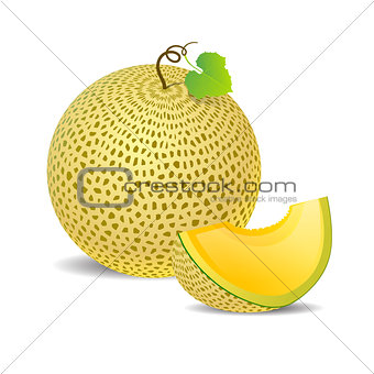 Ripe yellow melon