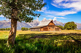 Scenic view of Grand Teton with old wooden farm and tree