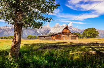Scenic view of Grand Teton with old wooden farm and tree